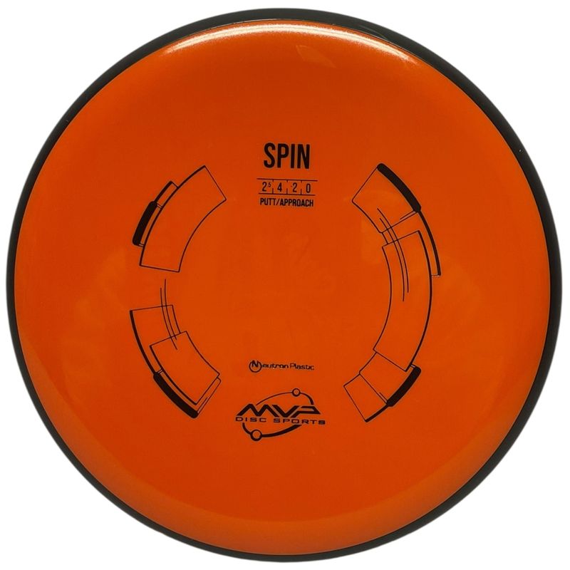 Neutron Spin