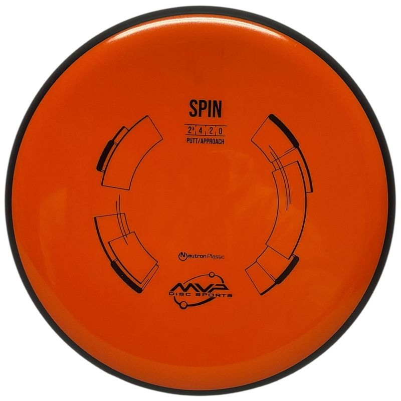 Neutron Spin