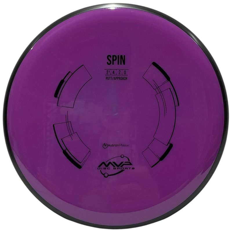 Neutron Spin