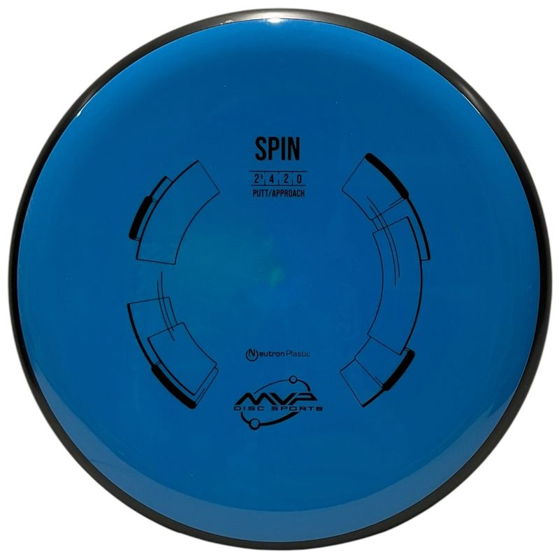 Neutron Spin
