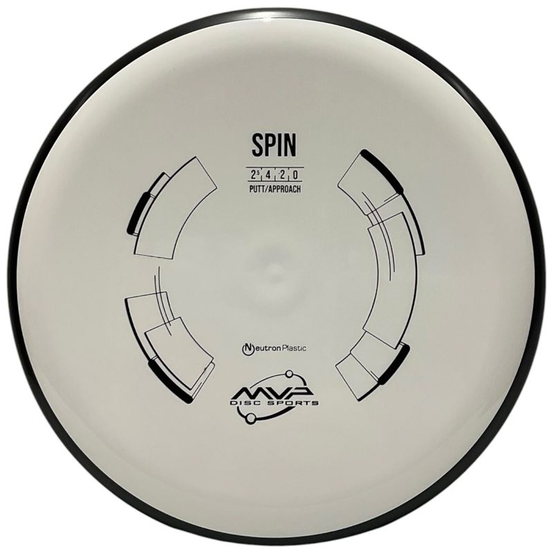 Neutron Spin